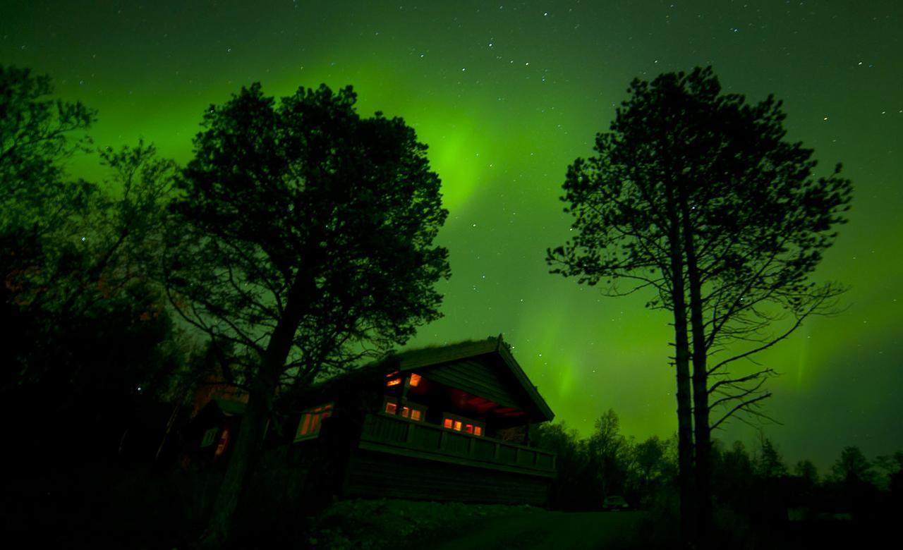 Malangen Lodge Mestervik Exterior foto